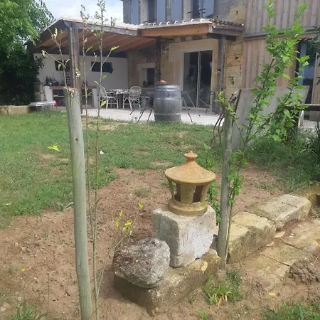 Au Velo Dans L'arbre