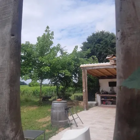 Au Velo Dans L'arbre