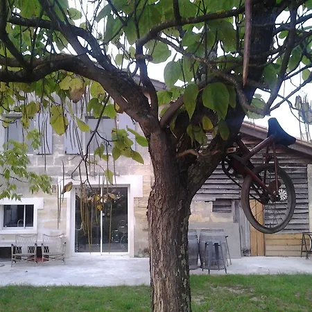 Couette-café Au Vélo Dans L'arbre