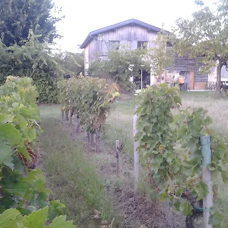 Au Velo Dans L'arbre 住宿加早餐酒店 3*