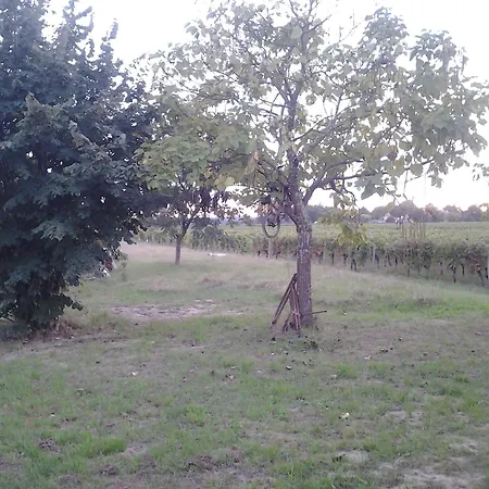 Au Vélo Dans L'arbre Couette-café 3*