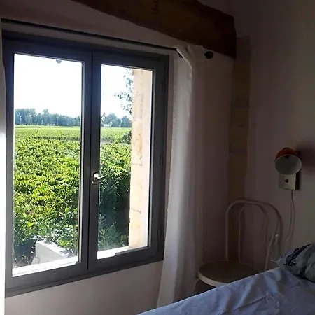 Au Vélo Dans L'arbre Couette-café