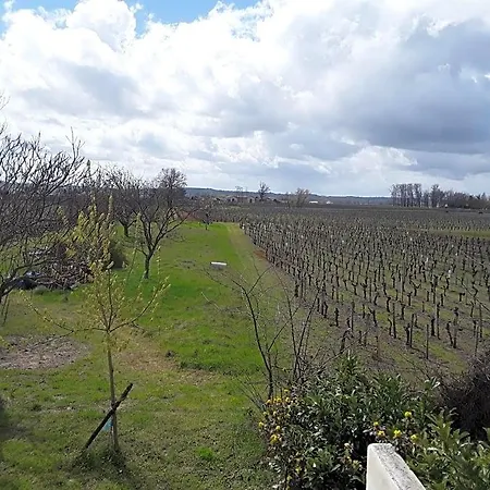 Au Vélo Dans L'arbre