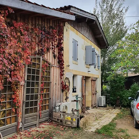 Au Velo Dans L'arbre