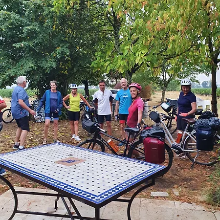Au Velo Dans L'arbre 3* Saint-Sulpice-de-Faleyrens