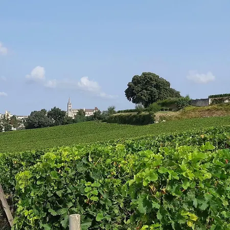 Au Vélo Dans L'arbre 3* Saint-Sulpice-de-Faleyrens
