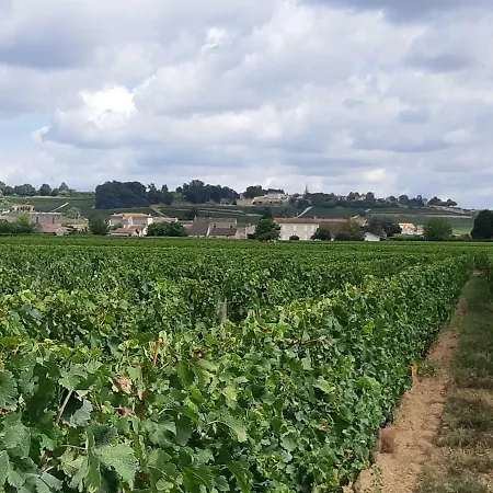 Au Velo Dans L'arbre 3*