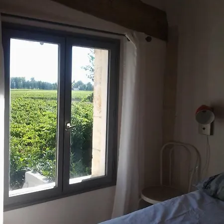 Au Velo Dans L'arbre Saint-Sulpice-de-Faleyrens