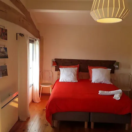 Au Vélo Dans L'arbre Saint-Sulpice-de-Faleyrens