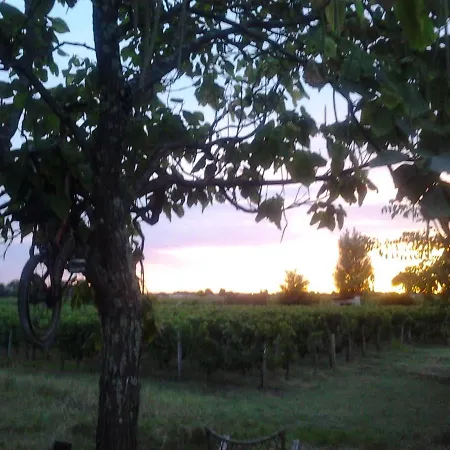 Au Velo Dans L'arbre Panzió