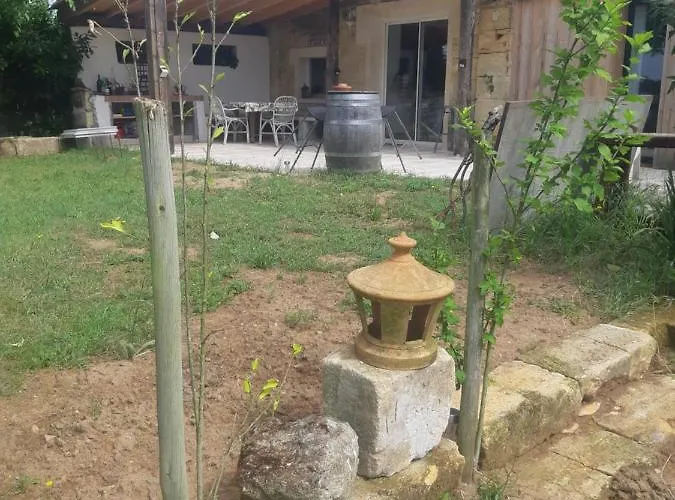 Au Velo Dans L'arbre