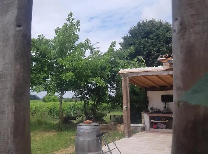 Au Velo Dans L'arbre