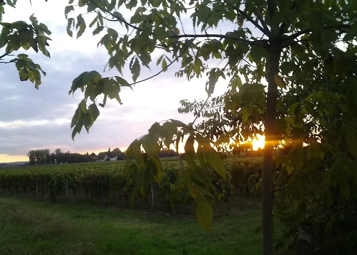 Au Velo Dans L'arbre Saint-Sulpice-de-Faleyrens