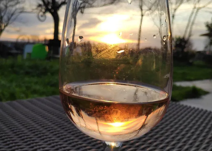 Au Velo Dans L'arbre 3* Saint-Sulpice-de-Faleyrens