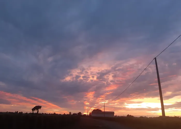 Au Velo Dans L'arbre 3* Saint-Sulpice-de-Faleyrens