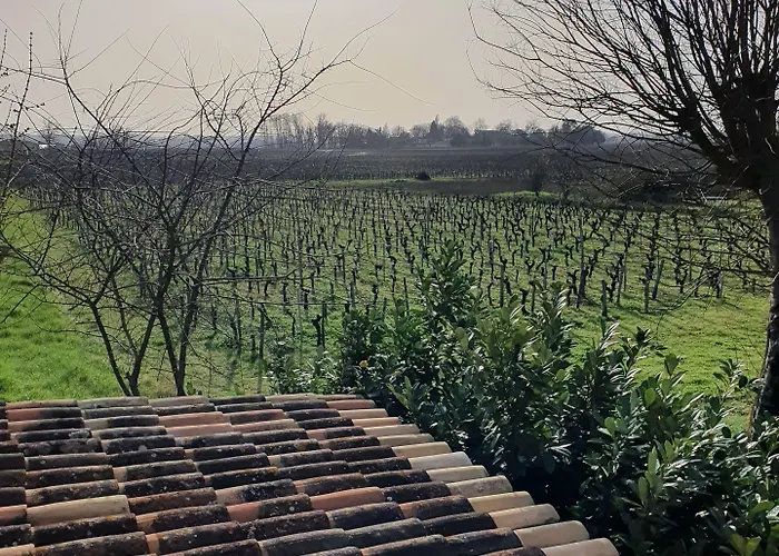 Au Velo Dans L'arbre Bed and Breakfast 3*