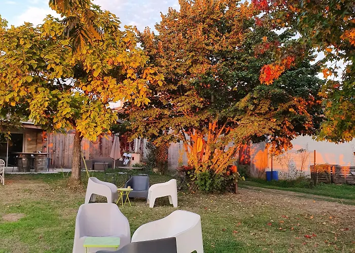 Bed and Breakfast Au Velo Dans L'arbre