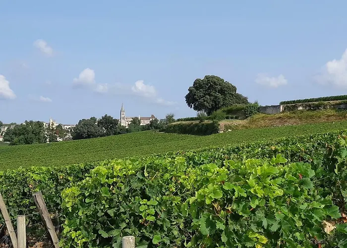 Au Velo Dans L'arbre 3* Saint-Sulpice-de-Faleyrens