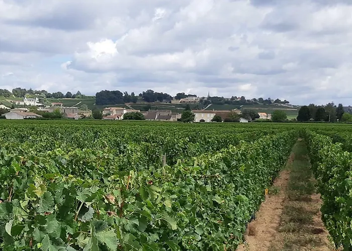 Au Velo Dans L'arbre 3*