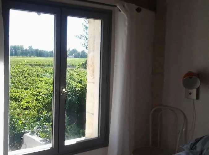 Au Velo Dans L'arbre Saint-Sulpice-de-Faleyrens