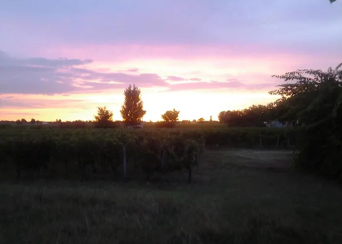 Au Velo Dans L'arbre Bed and Breakfast 3*