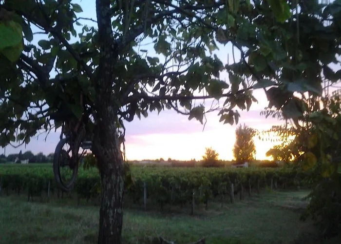 Au Velo Dans L'arbre Alojamento de Acomodação e Pequeno-almoço