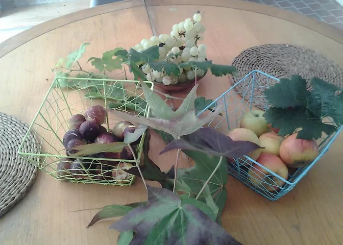 Au Velo Dans L'arbre